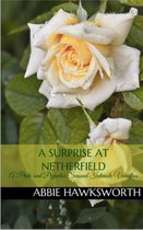 Mr. Darcy's Secret Engagement 2 - A Surprise at Netherfield: A Pride and Prejudice Sensual Intimate Novella