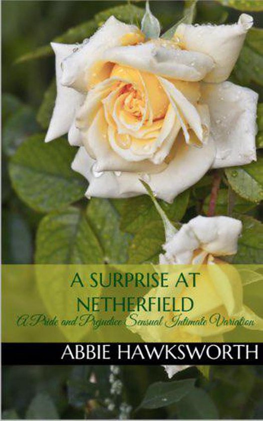 Mr Darcy S Secret Engagement 2 A Surprise At Netherfield A Pride And Prejudice