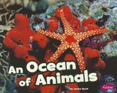 An Ocean of Animals (Habitats Around the World)