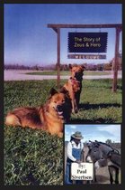 The Story of Zeus and Hero