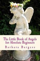 The Little Book of Angels for Absolute Beginners