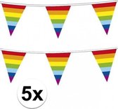 5x Regenboog vlaggenlijn / slingers