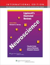 Neuroscience, International Edition (Lippincott's Illustrated Reviews Series)