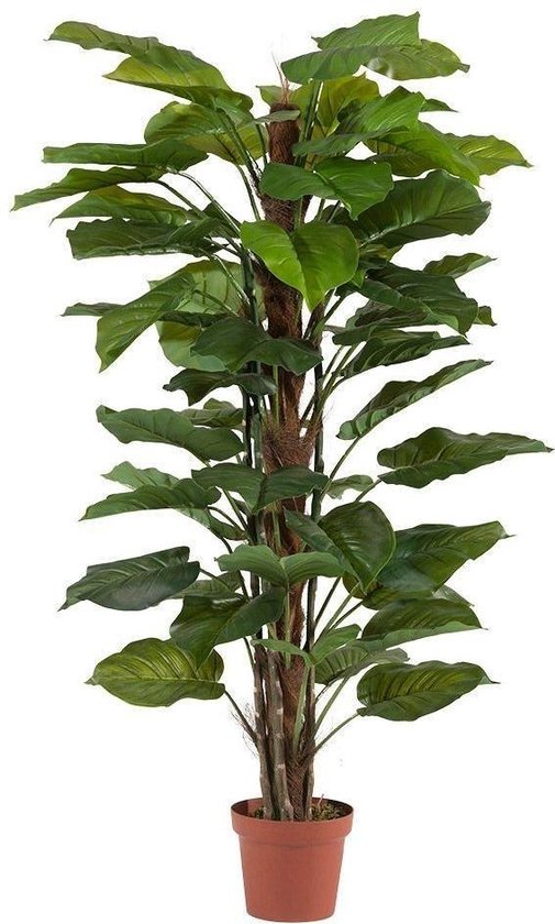 Veranderlijk erger maken Gepensioneerde Kunstplant - kunstplanten voor binnen - levensechte Rhaphidophora  kamerplant, 155 cm. | bol.com