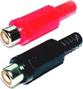 e+p CK 1 K RCA (F) Zwart, Rood kabel-connector