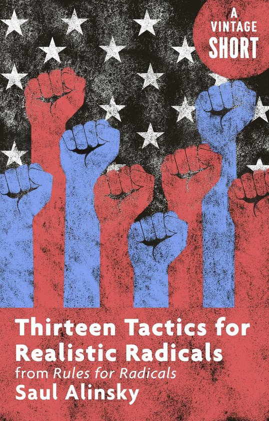 A Vintage Short - Thirteen Tactics for Realistic Radicals - cover