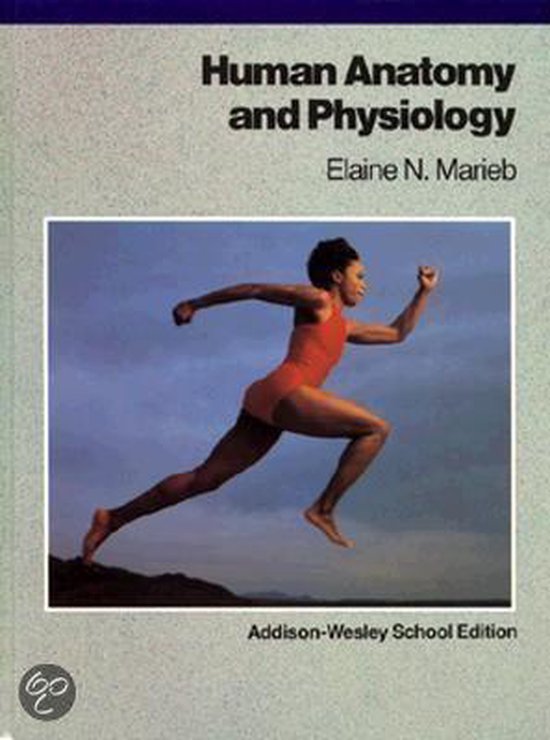 Human Anatomy and Physiology Biology Diagrams