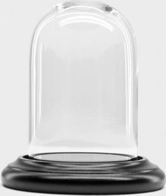 Moet Verloren Gemoedsrust Glazen stolp met zwart houten voet D 9 cm x H 12 cm | bol.com
