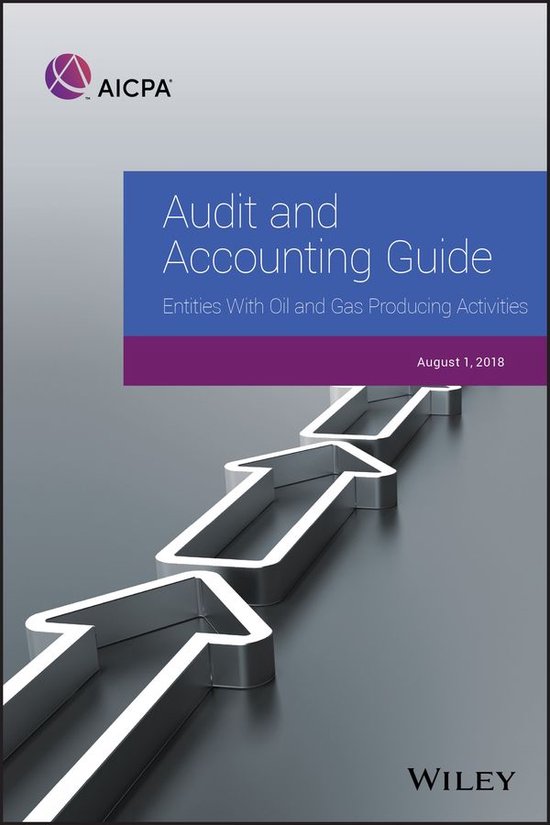 Aicpa audit and accounting guide audit and accounting guide ebook