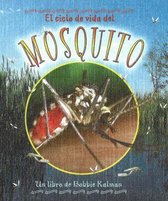 El Ciclo De Vida Del Mosquito/Life cycle of a mosquito