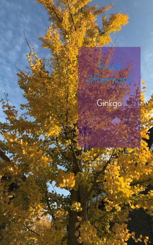 Ginkgo - cover
