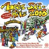 Apres Ski Hits 2008