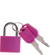 2 Stuks Hangslotje met Sleutel - Roze - Slotje geschikt voor kluisje, locker, rugzak & tas
