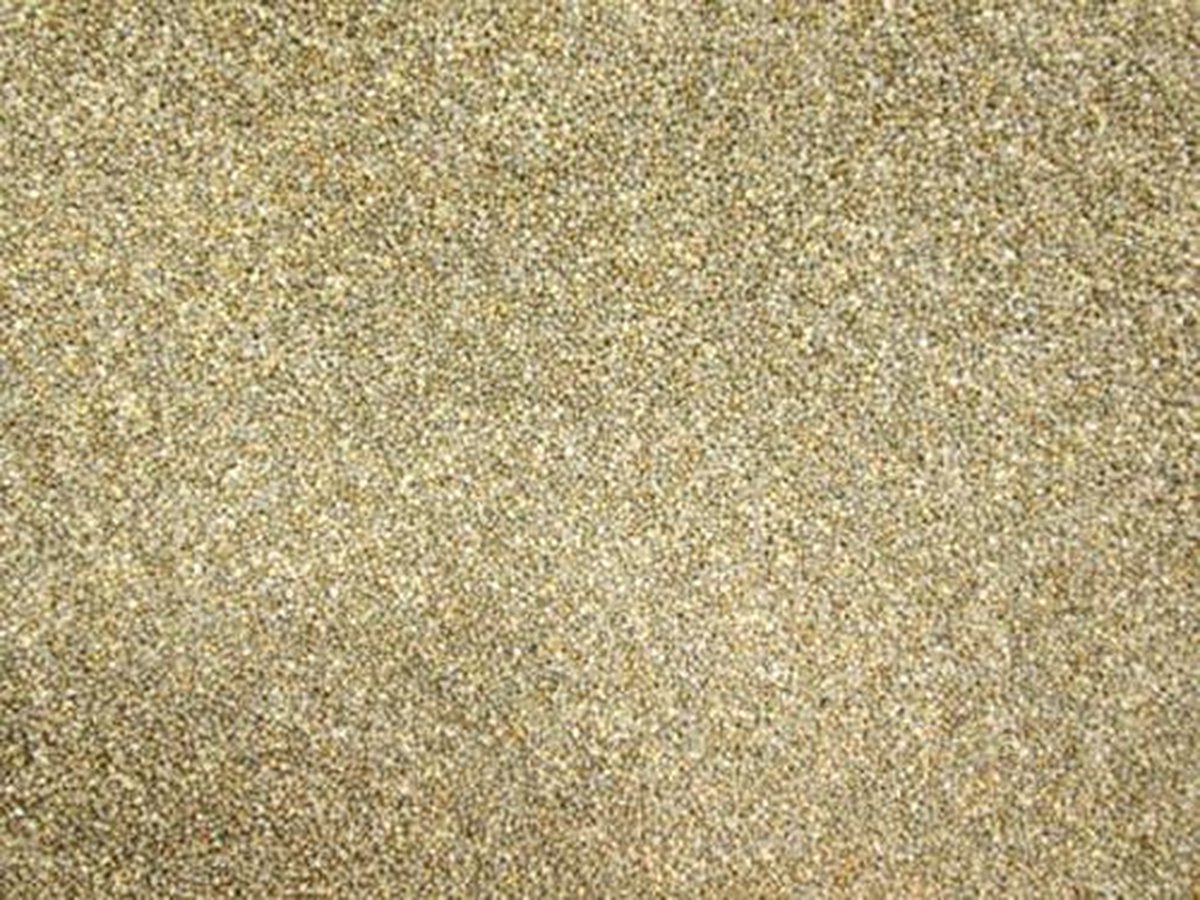 Wielink Japanse millet 25 kg