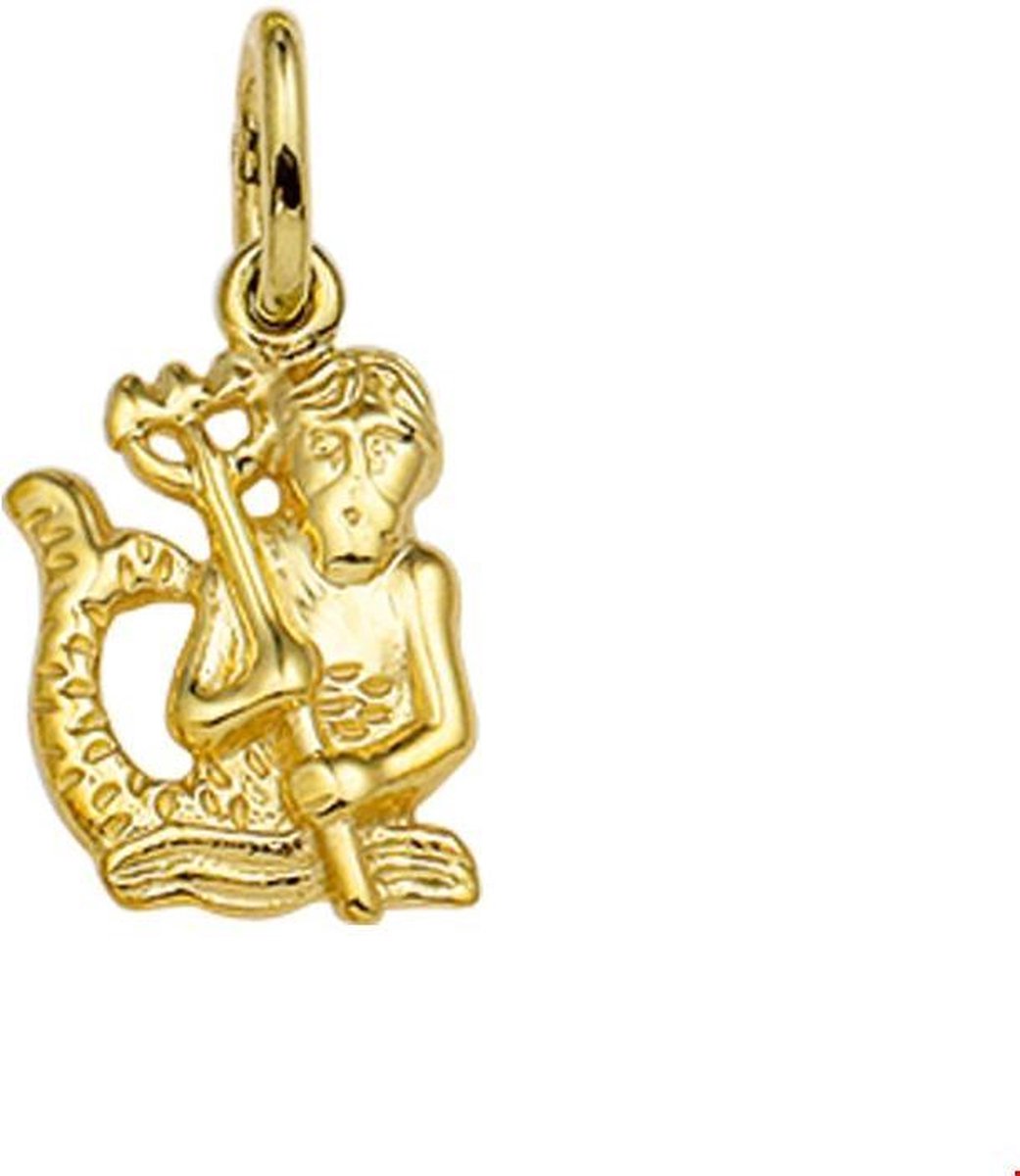 Geelgouden Bedel sterrenbeeld waterman 4006485