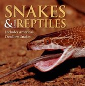 Snakes & Other Reptiles