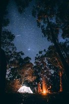 Campfire Starry Night Photo