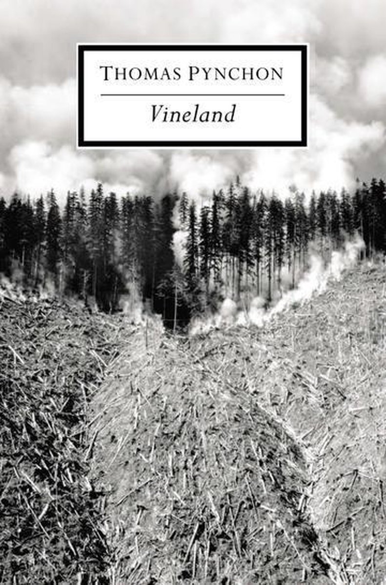 Omslag van Vineland