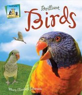 Brilliant Birds