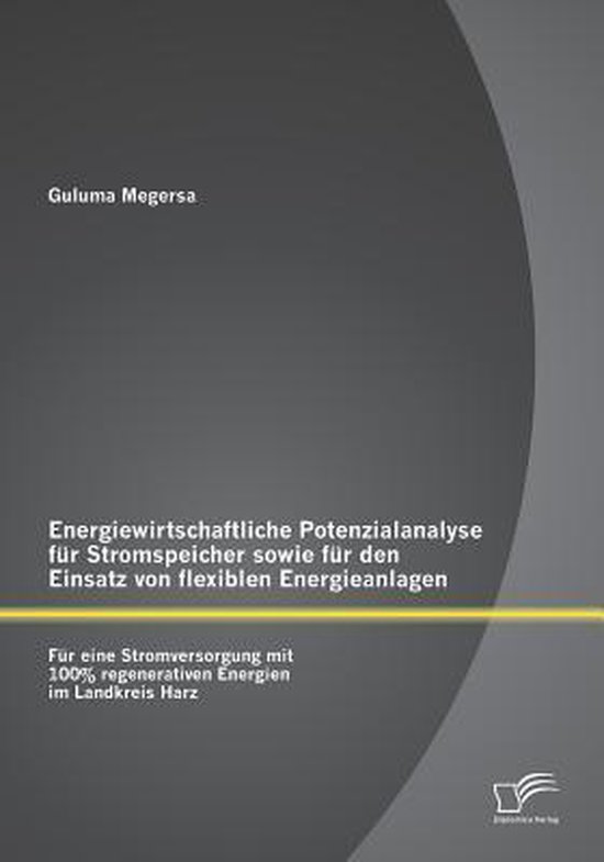 Energiewirtschaftliche Potenzialanalyse für Stromspeicher sowie für den Einsatz von flexiblen Energieanlagen: Für eine Stromversorgung mit 100% regenerativen Energien im Landkreis Harz
