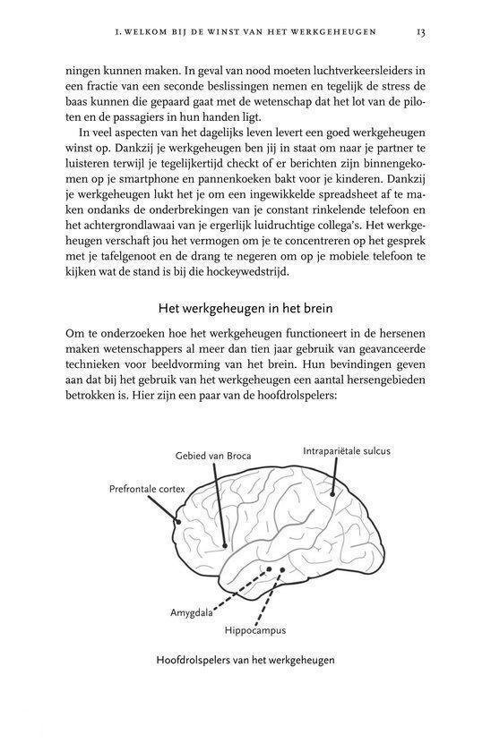 De winst van het werkgeheugen