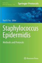 Staphylococcus Epidermidis