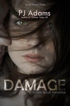 Damage (A New Adult romance)