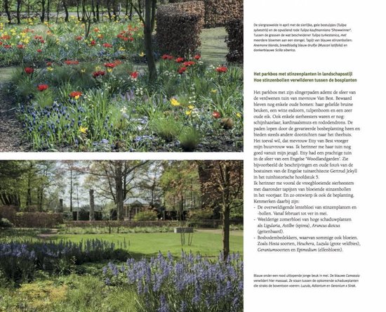 Een tuin met tulpen, struiken en een park op de achtergrond.