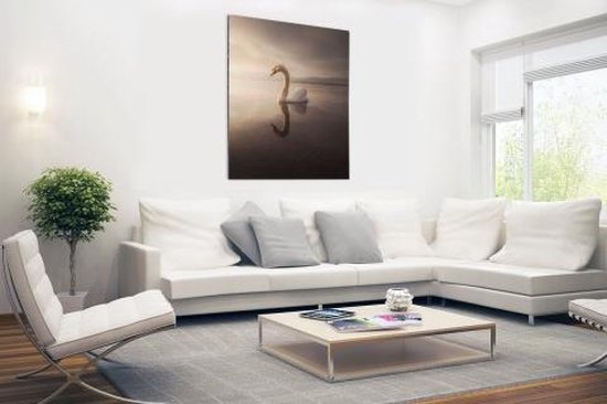 Swan sunset Aluminium 60x90 cm - Tirage photo sur aluminium (décoration murale métal)