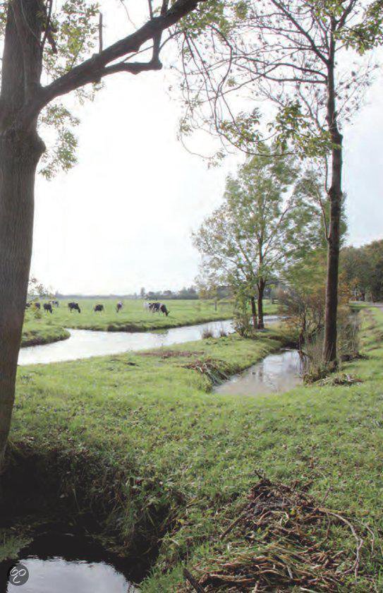 Een weelderig groen landschap met een riviertje, bomen en koeien in de verte.