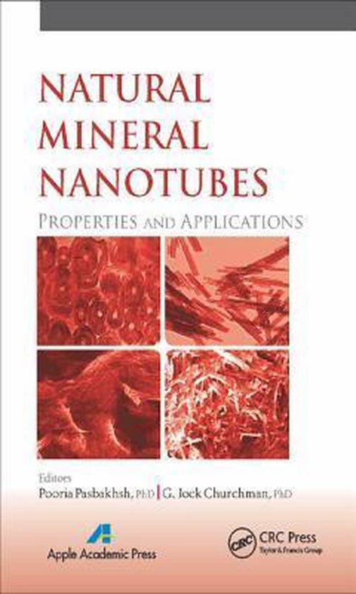 Natural Mineral Nanotubes - cover