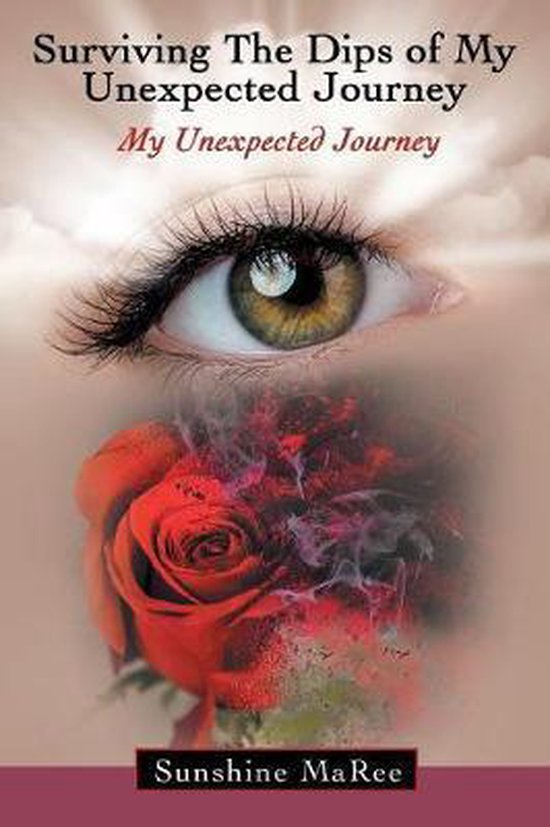 Surviving the Dips of My Unexpected Journey - cover