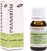 Pranarôm Etherische olie Lavandin super BIO (10 ml)