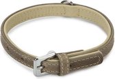 Beeztees Comfort - Halsband Hond - Leer - Grijs - 32 cm x 12 mm