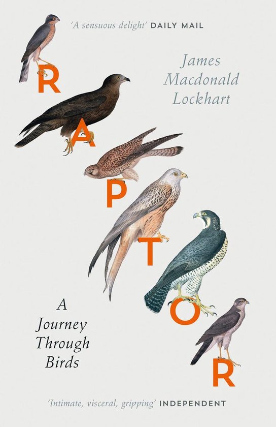 Raptor - cover