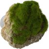 Aqua Della - Aquariumdecoratie - Vissen - Moss Stone With Suction Cup S - 12x9,5x10,5cm - 1st