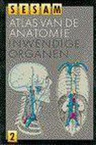 Sesam atlas van de anatomie 2 dr 15