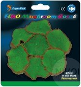 SF fluo mushroom coral green