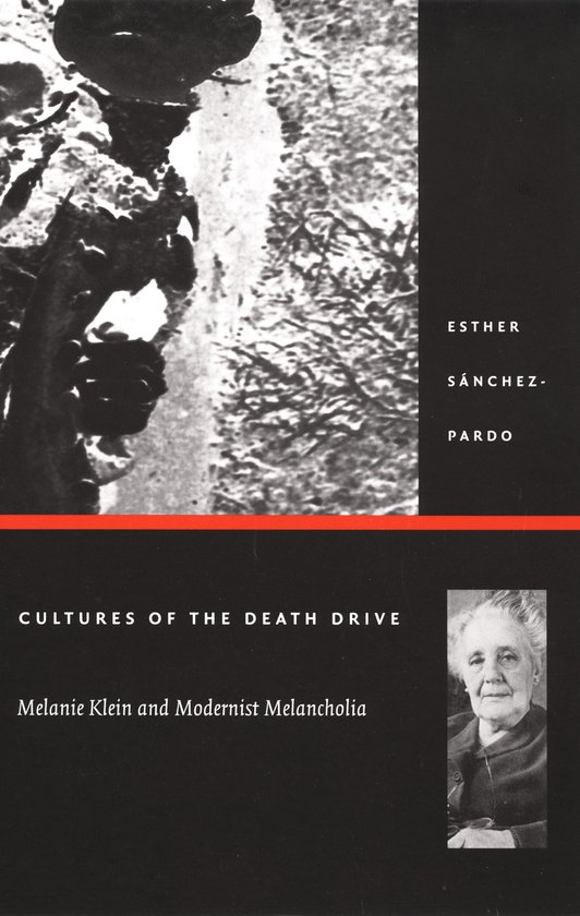 Post-Contemporary Interventions - Cultures of the Death Driv ... - cover
