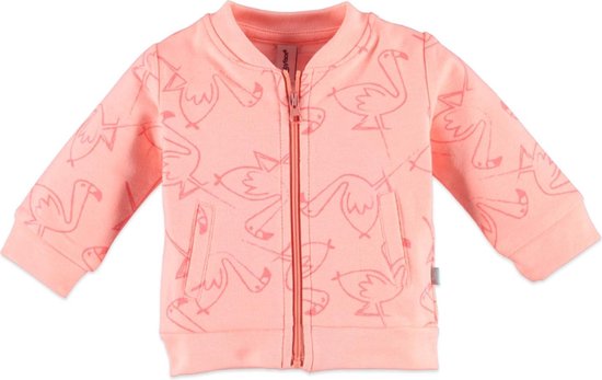 Petit Bateau China, China, 8 Jaar Meisje, Lange Mouwen, Vest, China kitten, 8 Jaren