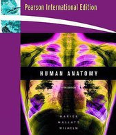 Human Anatomy