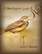 A Meadowlark Sings