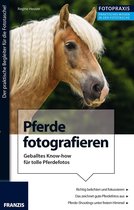 Foto Praxis - Foto Praxis Pferde fotografieren