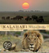 Kalahari - wildes Afrika