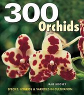 300 Orchids