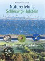Naturerlebnis Schleswig-Holstein