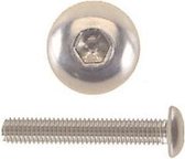 Amigo Allen Bolt M5 X 12 mm, tête de bouton en acier inoxydable, 25 pièces (214174)