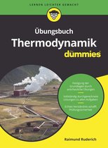 Für Dummies - Übungsbuch Thermodynamik für Dummies
