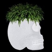 Qeeboo Mexico plantenbak met LED verlichting