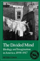 Cambridge Studies in American Literature and CultureSeries Number 7-The Divided Mind